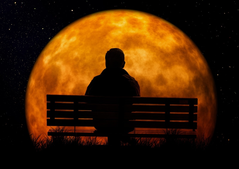 2K, facing, meditation, night, contemplation, sky, person, nature, old man, seat, bank, retirement, forward, rear view, one person, bench, moon, sitting