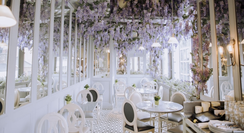 room, table, design, elegance, fine dining, banquet, place setting, flowering plant, dinner, interior, white color, wealth, wedding, restaurant, chairs