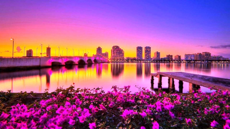downtown, manhattan, tower, buildings, outdoors, flower, office building exterior, house, no people, building, nature, sky, purple, pink color, aerial