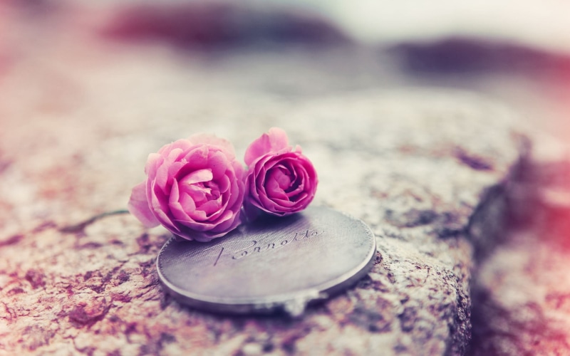 jewelry, red, pink, outdoors, focus on foreground, rose - Flower, gift, old-fashioned, nature, fragility, flowers, 1080P, decoration, flower, roses, symbol
