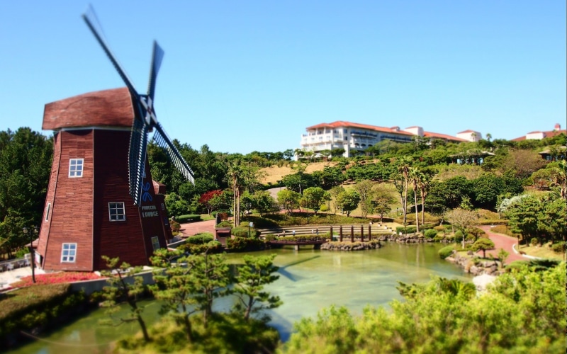 jeju, environmental conservation, 1080P, clear sky, island, building exterior, day, no people, architecture, nature, plant, travel, korea, reflection