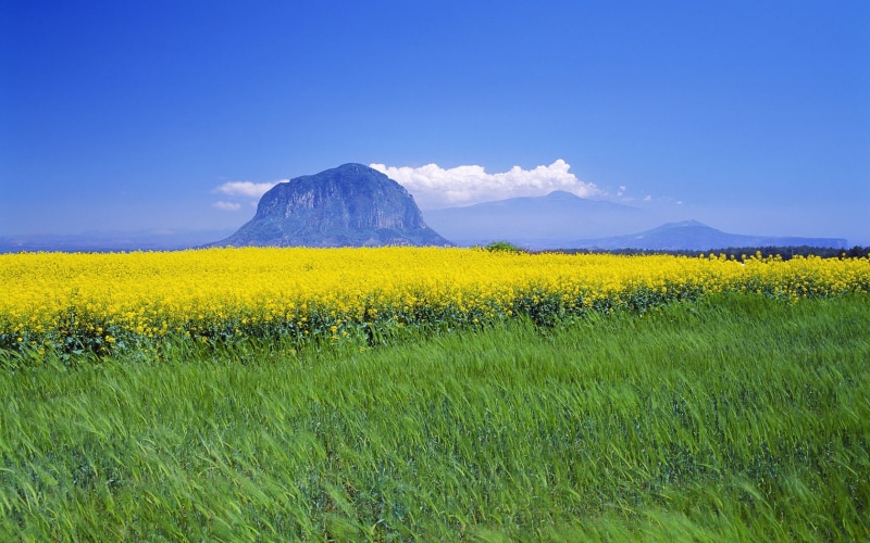 720P, mountains, Fields, sanbang, grasslands, korea, Green, nature, jeju, grass, mountain, ISLAND, hd, art