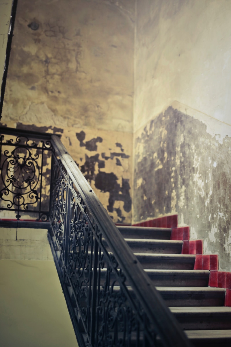 stairs, vintage, built structure, design, nature, architecture, handrail, stone, stairway, stair, steps and staircases, old, mansion, grab, tiles, wall