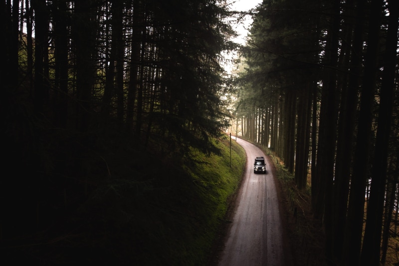 on the move, trees, tree, drive, camp, nature, mode of transportation, motion, journey, motor vehicle, black, green, non-urban scene, road trip, overland