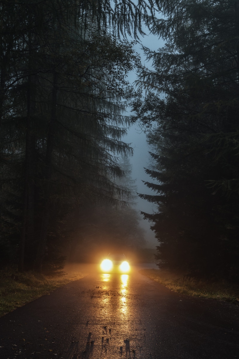 spooky, near, plant, wander, nature, forest, headlight, wanderlust, building, beauty in nature, no people, tree, dark, non-urban scene, outdoors, growth