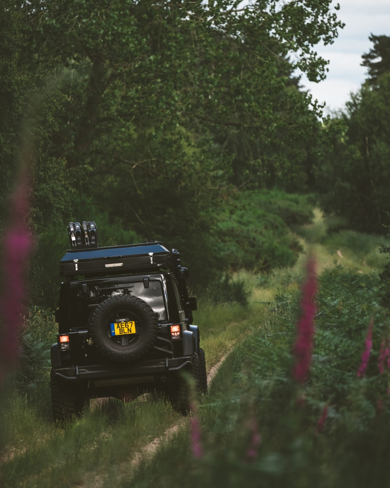 black, field, pasture, trail, transportation, jeep, explore, truck, bush, motor vehicle, travel, outdoor, motion, road, land vehicle, land, growth, 4K