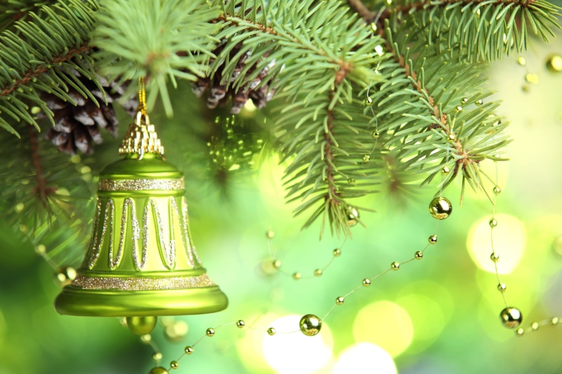 close-up, green Color, shiny, christmas Tree, year, cultures, illuminated, evergreen Tree, Merry Christmas, christmas, red, silver, outdoors, ornament