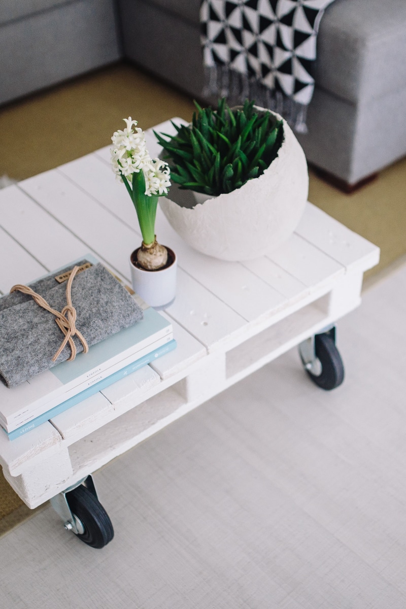 still life, grey, no People, nature, white color, freshness, indoors, magazines, furniture, wheels, table, modern, sofa, Small, potted plant, plant, growth