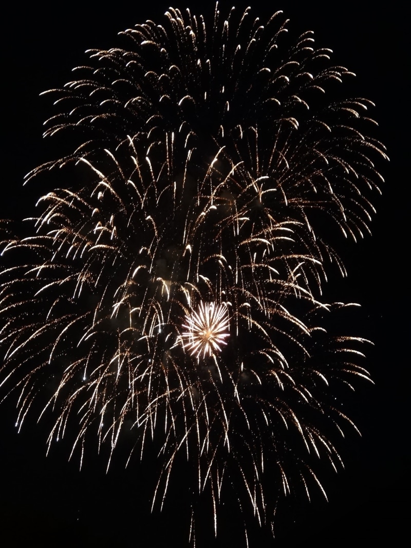 turn of the year, event, pyrotechnics, night, light, nature, new years eve, new years greetings, firework - man made object, colorful, illuminated, glowing