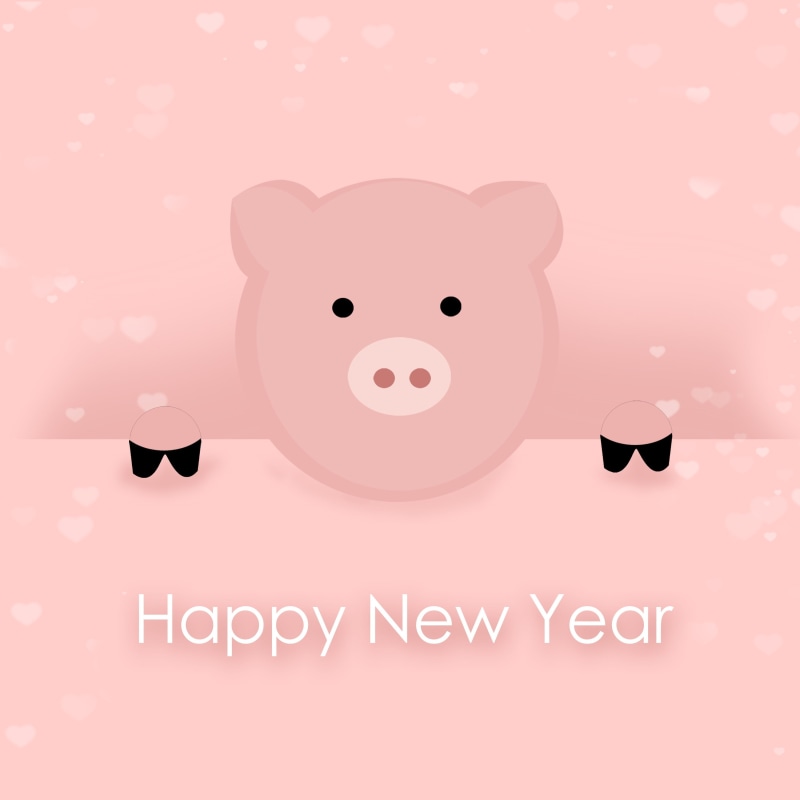 text, celebrate, turn of the year, happiness, indoors, red, lucky charm, colored background, pink color, pig, message, mammal, smiling, representation