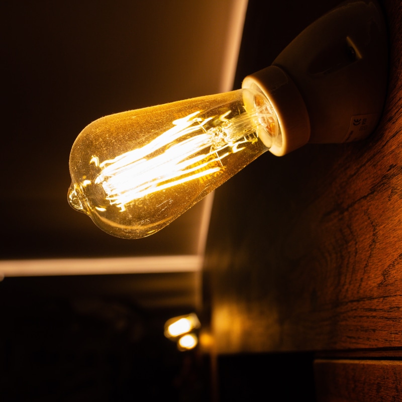 horn, light fixture, filament, 2K, wine, alcohol, glass, light bulb, neon, light, lighting, bottle, container, macro, musical instrument, ceiling light