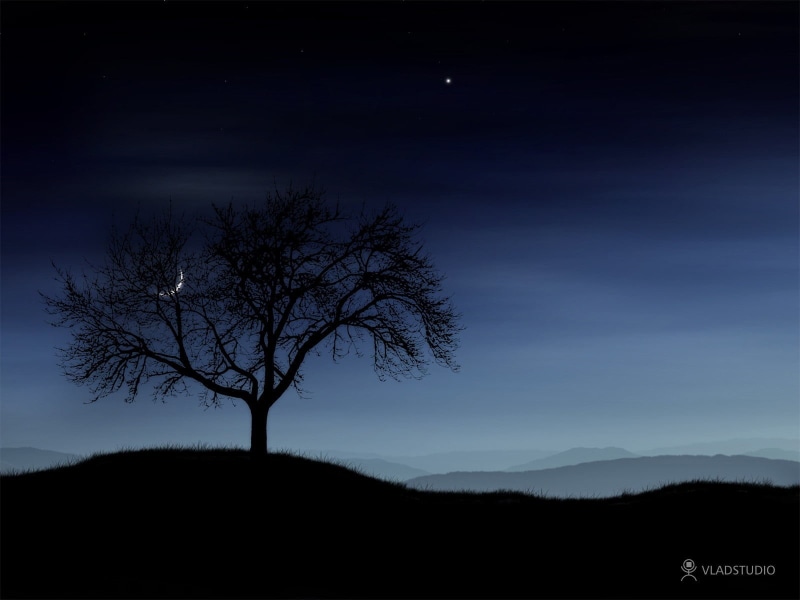 tranquility, no people, beauty in nature, astronomy, field, bare tree, dark, sky, photography, 720P, nature, tranquil scene, moon, night, non-urban scene
