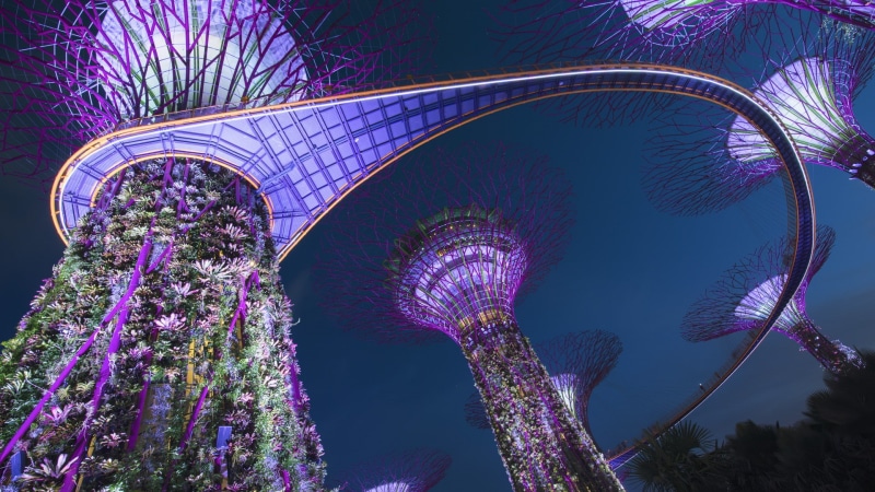 tourism, arch, outdoors, illuminated, bridge, dusk, low angle view, built structure, architecture, plant, growth, tree, no people, 1080P, purple, travel destinations