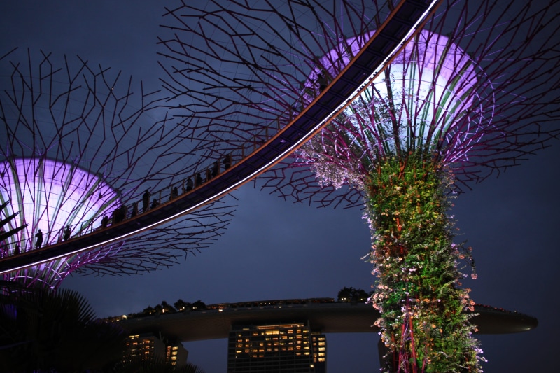 dusk, building exterior, decoration, 4K, singapore, low angle view, flowering plant, night, purple, branch, tree, gardens by the bay, sky, illuminated