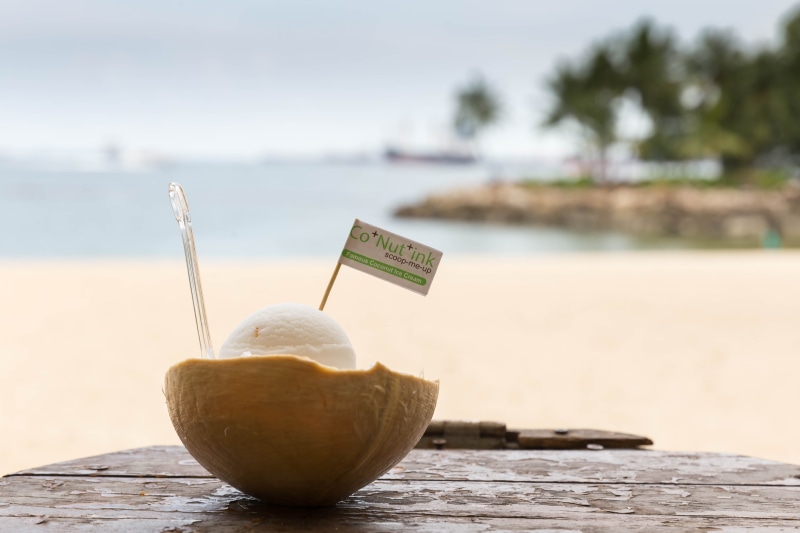 drink, sentosa island, ink, Singapore, Natur, wood, am, Digital Nomad, coffee, nut, relaxation, co, currency, Strand, SG, heiß, Reise, nature, cup, sea