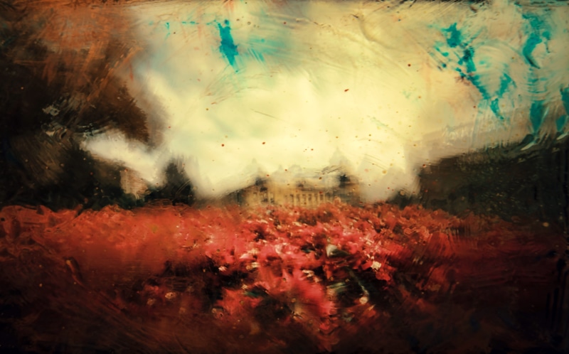 painting, fragility, digital composite, red, fineart, surreal, no people, modern art, field, cloud - sky, flower, growth, environment, 5K, cover, leaf