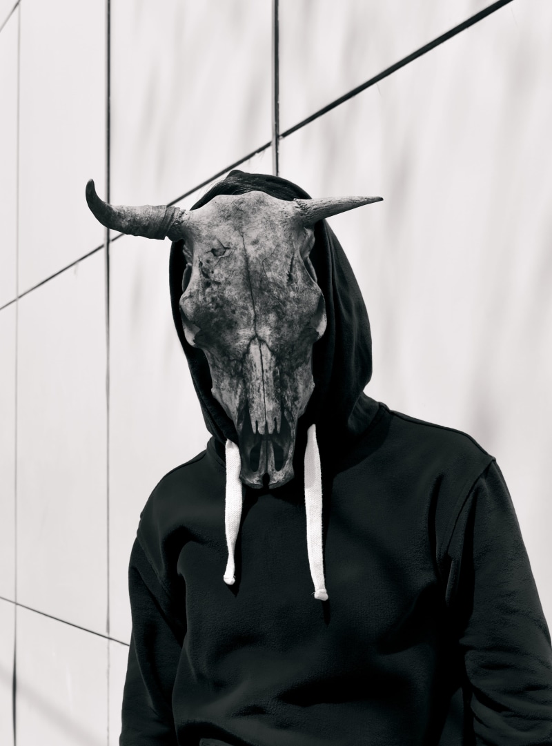 sweater, bull, ninja, one person, mask - disguise, apparel, mammal, fineart, clothing, bizarre, men, surrealism, sureal, mask, sweatshirt, one animal, human