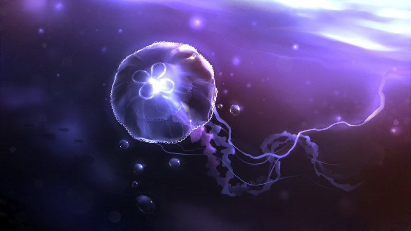 fish, glowing, jellyfish queen, anatomy, animal wildlife, nerve Cell, underwater, air bubbles, apofiss, human Brain, synapse, science, nature, three-dimensional Shape
