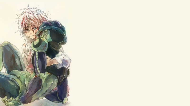 anime, white background, simple background, Hunter x Hunter, 1080P