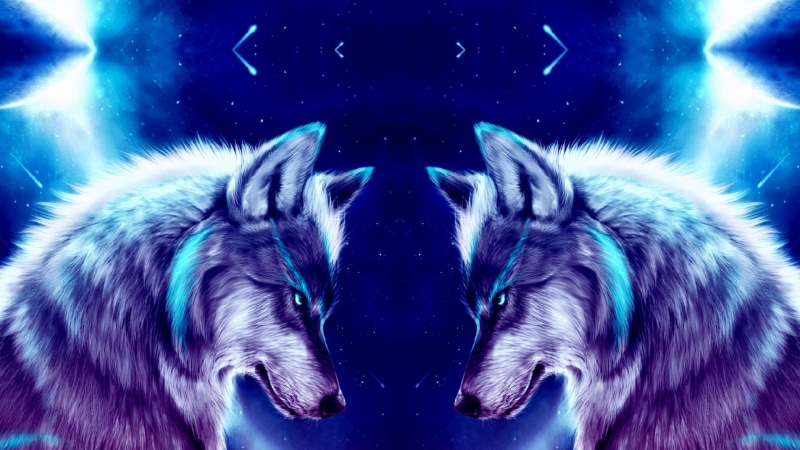 art, animals, 1080P, wolves, space, digital art, wolf, night