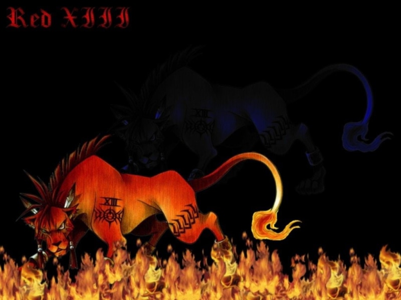 text, creativity, outdoors, dark, Final Fantasy VII, representation, Final Fantasy, fire - natural phenomenon, Red XIII, animal, fire, night, burning, no people