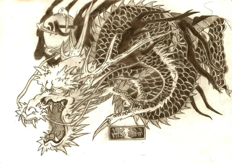 dragon, Dragon Tattoo, tattoo, hd, art, tattoos, 720P, yakuza