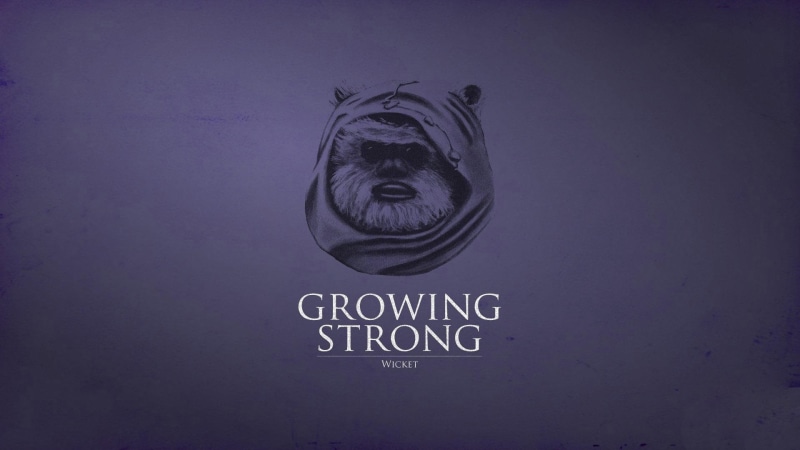 funny, 1920x1080, strong, 1080P, growing, ewok