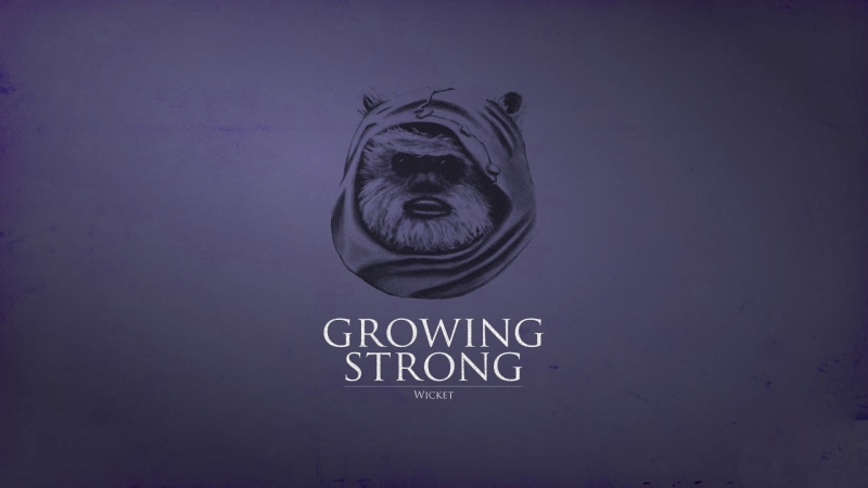 ewok photo, ewok, ewok wicket, Funny, 1920x1080, 1080P