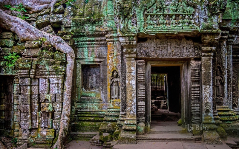 bing, angkor, weathered, abandoned, 1080P, history, spirituality, deterioration, ancient, wallp, the past, ruined, entrance, plant, no people, cambodia