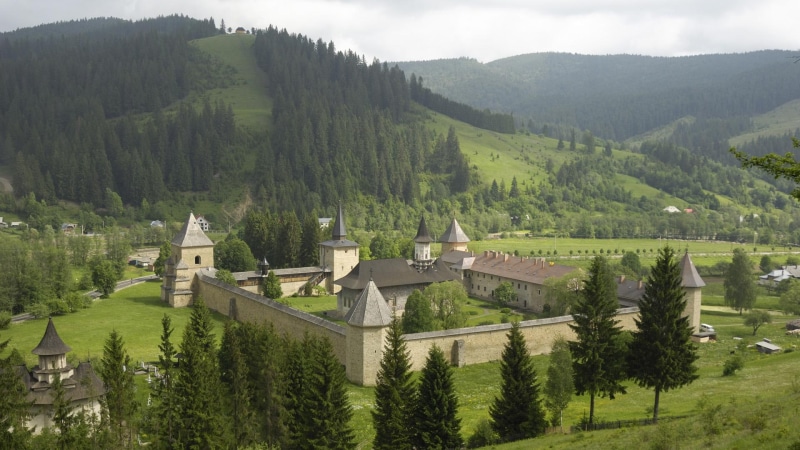1080P, monastery, romania, neamt, putna, saint, animals