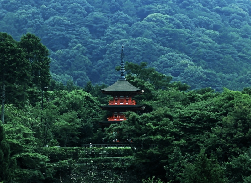 growth, forest, 2K, no people, spirituality, pagoda, jungle, built structure, building, foliage, beauty in nature, building exterior, outdoors, architecture