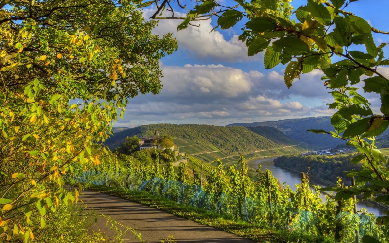 camino, paisaje, 1080P, naturaleza, rio, verano