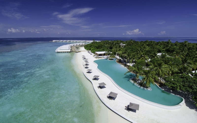 palm tree, cloud - sky, beach, favorite, luxury, blue, maldives, plant, sea, desktop, ocean, tree, tranquility, tranquil scene, land, resort