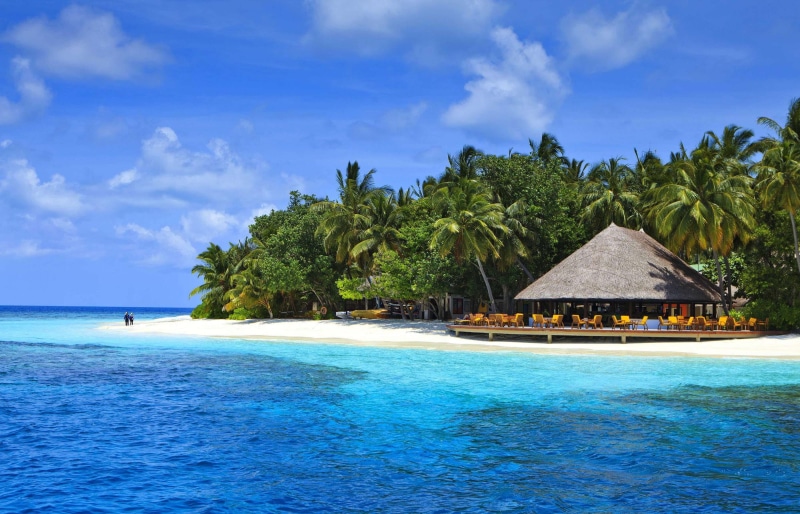 travel destinations, tree, angsana, beauty in nature, water, 2K, land, thatched roof, no people, idyllic, nature, ocean, resort, palm tree, outdoors, swimming pool