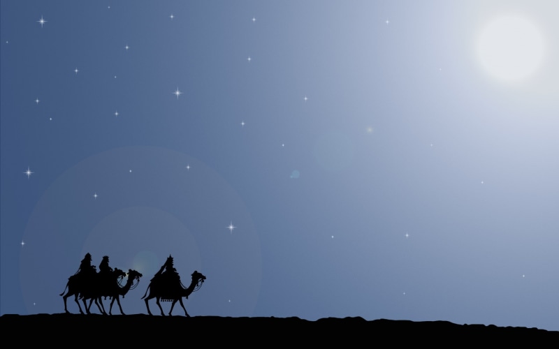 domestic, the way, vertebrate, animal wildlife, star, group of animals, three, star - space, kings, landscape, livestock, Bethlehem, tranquility, outdoors