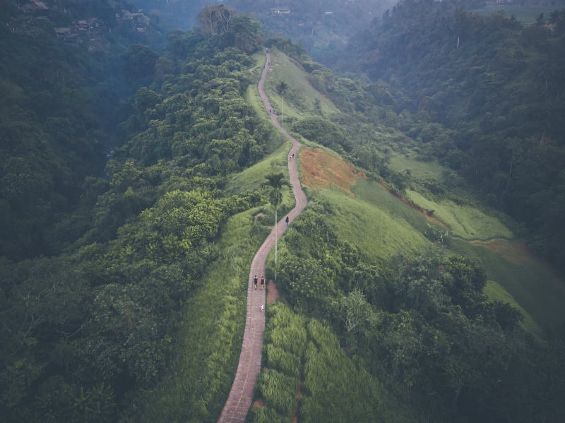 from above, forest, drone shot, idyllic, birds eye view, plant, land, campuhan, scenics - nature, outdoors, mountain, environment, high angle view, ubud