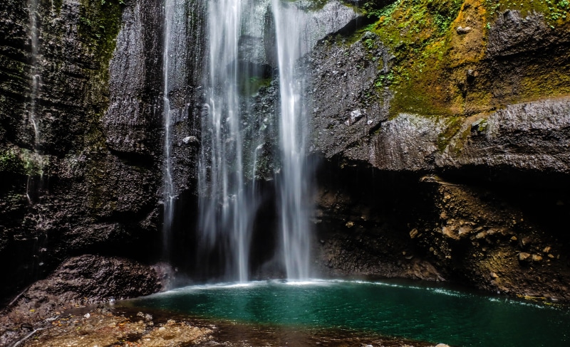 falling water, 4K, power in nature, rock formation, tree, splashing, tropical, motion, no people, beauty in nature, indonesia, outdoors, rainforest, madakaripura waterfall