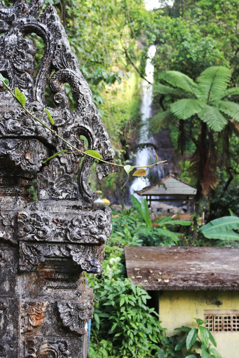architecture, waterfall, day, tree, tree trunk, green color, wood - material, green, landscape, 5K, leaf, water, tranquility, nature, no people, Indonesia