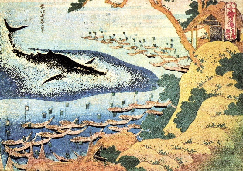 Hokusai, mural, creativity, day, architecture, graffiti, wall - building feature, nature, ink, outdoors, whale, tree, built structure, close-up, no people