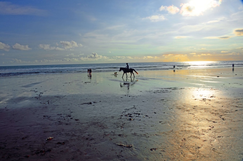 animal themes, horizon over water, coast, sky, land, landscape, bali island, indonesia, bali, water, cloud - sky, scenics - nature, domestic animals, beginning of sun setting