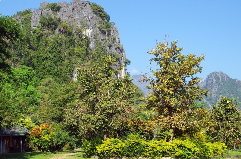 idyllic, temple, forest, clear sky, nature, bleak, sunlight, tranquil scene, karst, land, vang vieng, green color, laos, non-urban scene, scenics - nature