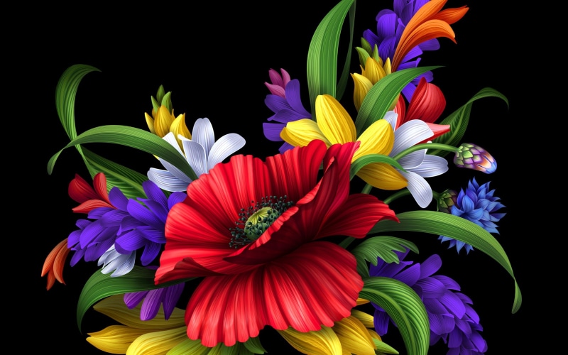 2K, petals, gorgeous, bouquet, flower, cool, special, beautiful