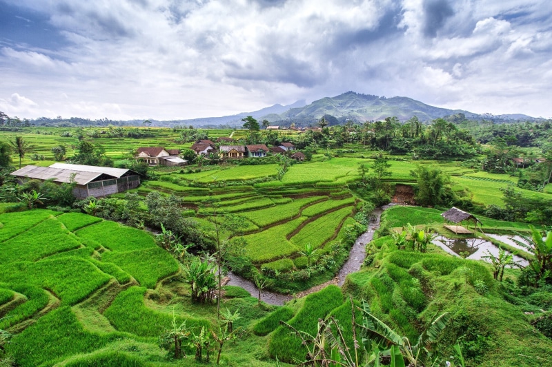 scenics - nature, built structure, no people, cloud - sky, tranquil scene, sky, hills, mountain, landscape, 1080P, nature, farm, plantation, tea crop