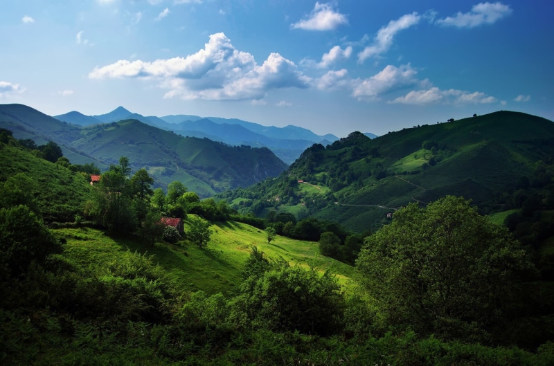 green, mountain range, tranquil scene, plantation, tea crop, 1080P, Spain, green color, cloud - sky, rural scene, non-urban scene, landscape, mountain