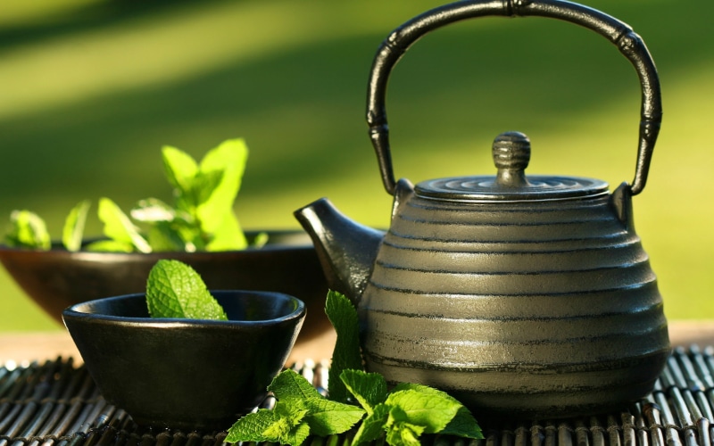 plant part, nature, tea Cup, plant, metal, mint, cup, household equipment, indoors, freshness, green Tea, leaves, teapot, potted plant, tea Crop, food and drink
