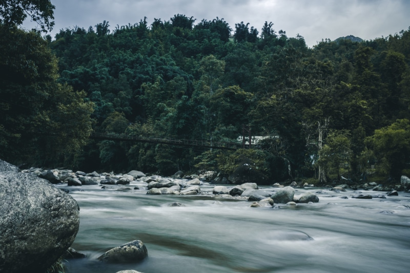 bridge, beauty in nature, rock, waterfront, vietnam, 5K, tree, water, forest, tranquil scene, village, green color, outdoors, growth, flowing water, plant