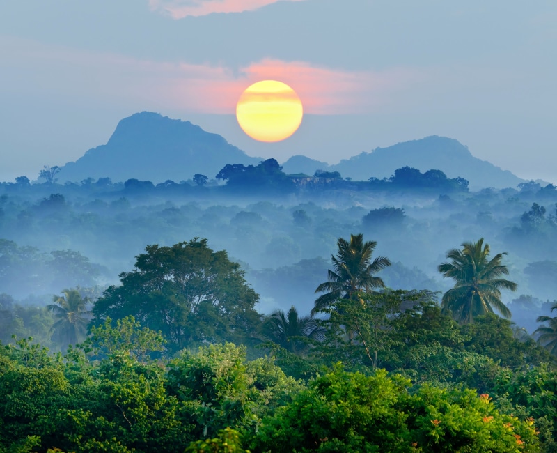 sunrise - Dawn, scenics, leafed, thailand, scenics - nature, mountain peak, mountains, cultures, blue, environment, tropical Rainforest, mountain, tranquil scene