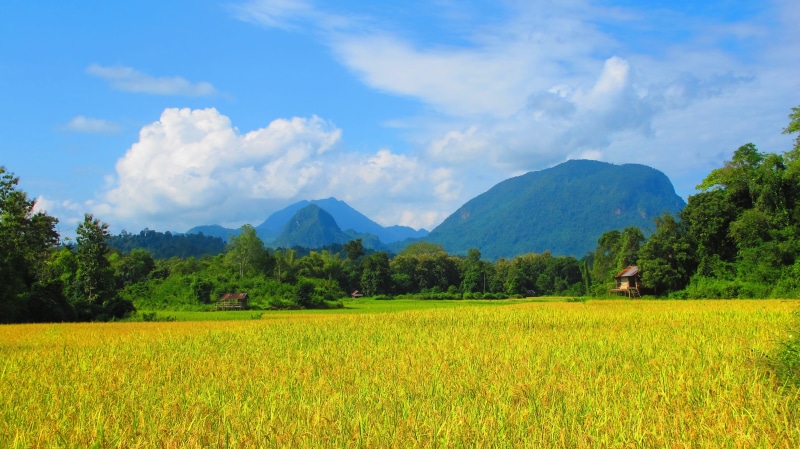 beauty in nature, plant, Country Side, Field, sky, growth, plantation, mountain, landscape, scenics - nature, tranquil scene, cloud - sky, mountain range