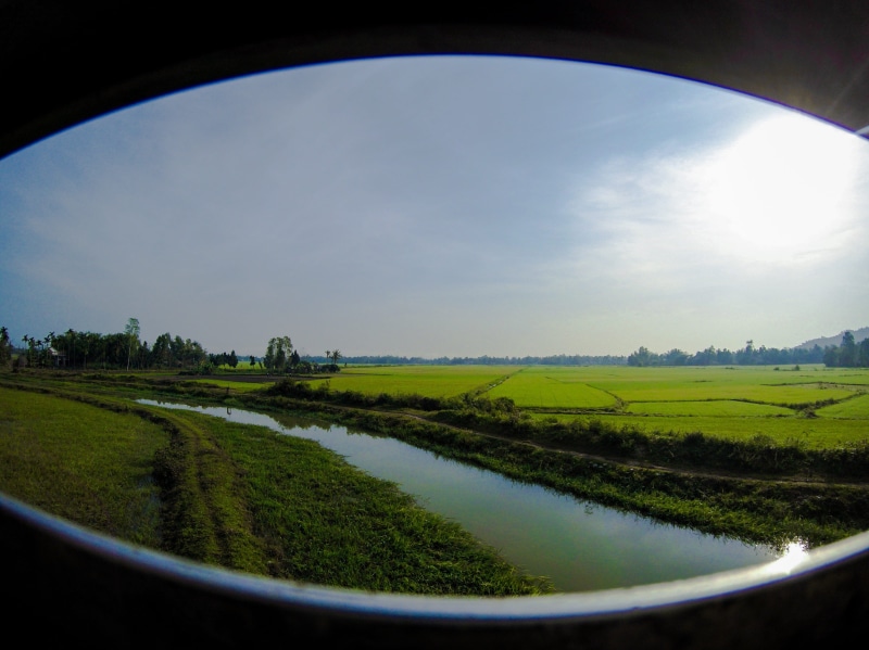 beauty in nature, outdoors, green, healthy, rural scene, plants, rice, landscape, river, nature, sunshine, countryside, travel, through window, field, through camera