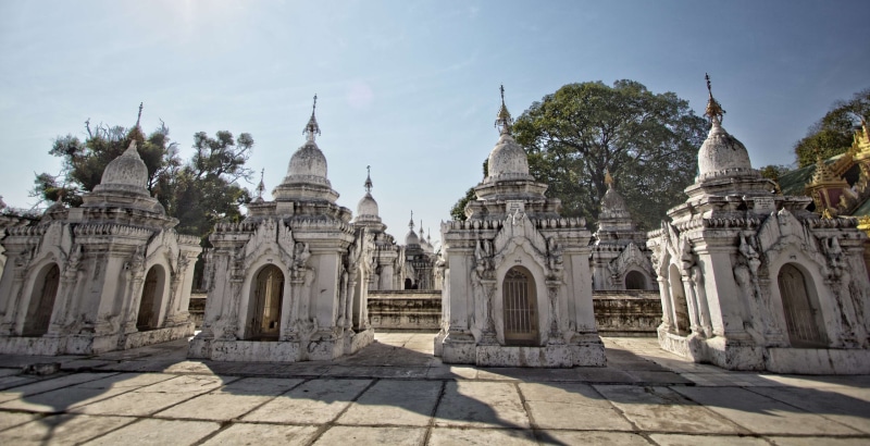 meditate, built structure, 4K, the past, nature, sacred, tree, sunlight, no people, building, belief, spirituality, architecture, outdoors, spire, pagoda